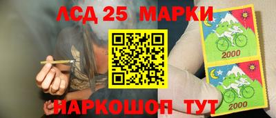 прущие грибы Будённовск
